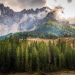 Boscaioli in Trentino che lavorano in armonia con la foresta circostante.