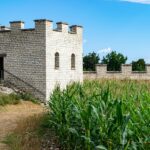 Labirinto della Masone: vista panoramica del grande labirinto di bambù vicino Parma.