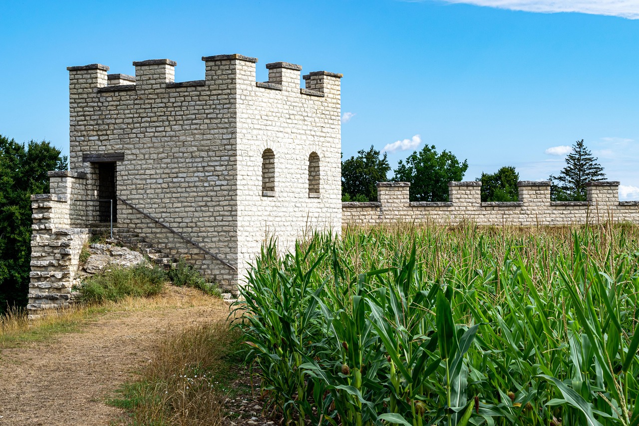 Labirinto della Masone: vista panoramica del grande labirinto di bambù vicino Parma.