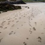 Spiaggia incontaminata dell'Irlanda del Nord con sabbia dorata e onde blu, circondata da scogliere verdi.