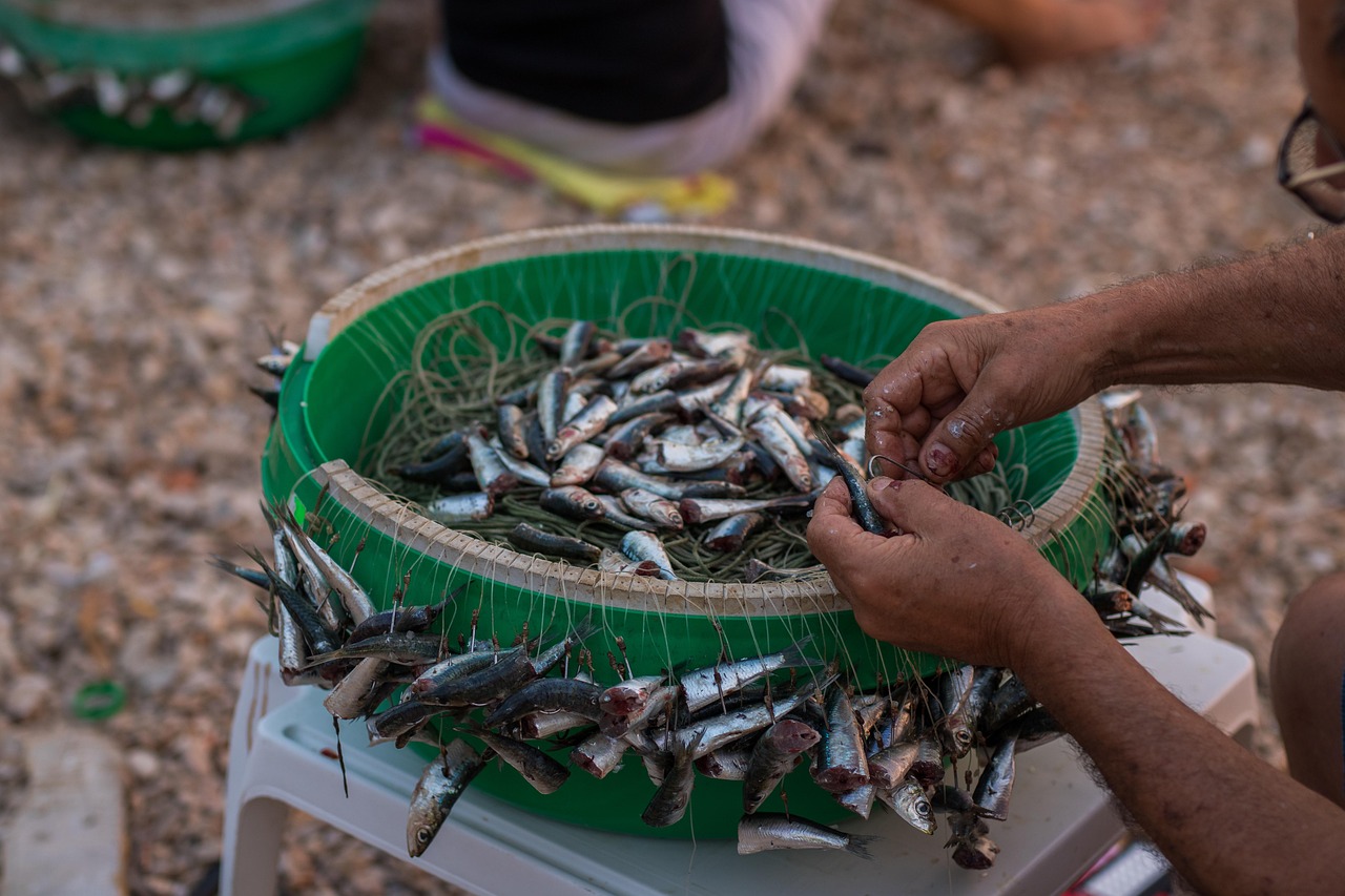 Vista del villaggio siciliano durante la sagra del pesce fresco, con bancarelle e visitatori entusiasti.